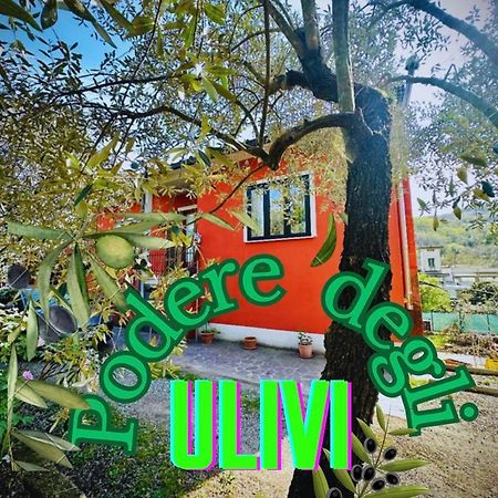 Podere Degli Ulivi Family Villa Serravalle Pistoiese Bagian luar foto