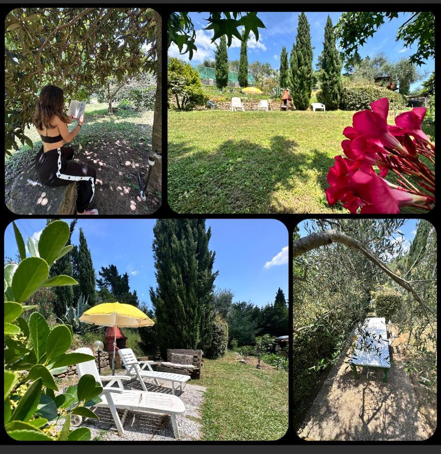 Podere Degli Ulivi Family Villa Serravalle Pistoiese Bagian luar foto